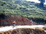 Sapa Biking