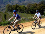 Sapa Biking