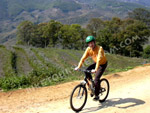 Sapa Biking